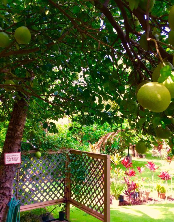 Nona Lani Cottages Kihei Εξωτερικό φωτογραφία