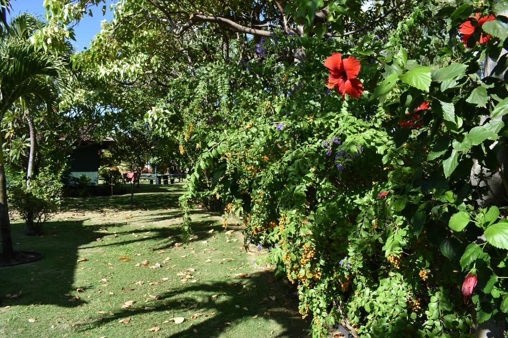 Nona Lani Cottages Kihei Εξωτερικό φωτογραφία